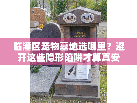 临潼区宠物墓地选哪里？避开这些隐形陷阱才算真安心