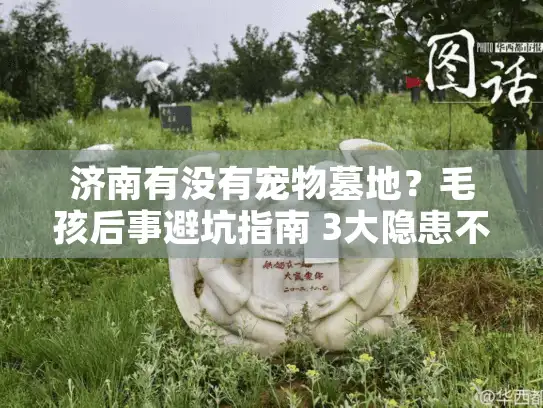 济南有没有宠物墓地?毛孩后事避坑指南 3大隐患不可不知 济南有没有宠物墓地?毛孩后事避坑指南 3大隐患不可不知