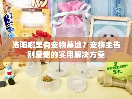 洛阳哪里有宠物墓地?宠物主告别爱宠的实用解决方案 洛阳哪里有宠物墓地?宠物主告别爱宠的实用解决方案