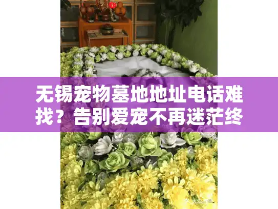 无锡宠物墓地地址电话难找?告别爱宠不再迷茫终极方案 无锡宠物墓地地址电话难找?告别爱宠不再迷茫终极方案