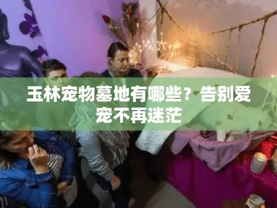 玉林宠物墓地有哪些？告别爱宠不再迷茫