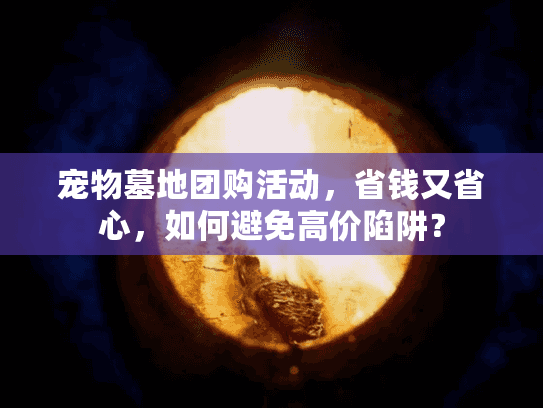 宠物墓地团购活动，省钱又省心，如何避免高价陷阱？