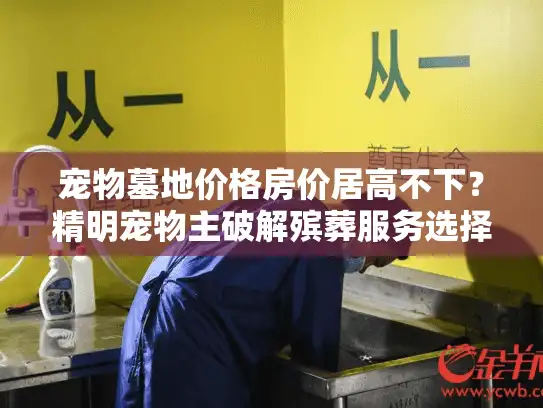 宠物墓地价格房价居高不下？精明宠物主破解殡葬服务选择困局