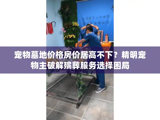 宠物墓地价格房价居高不下？精明宠物主破解殡葬服务选择困局