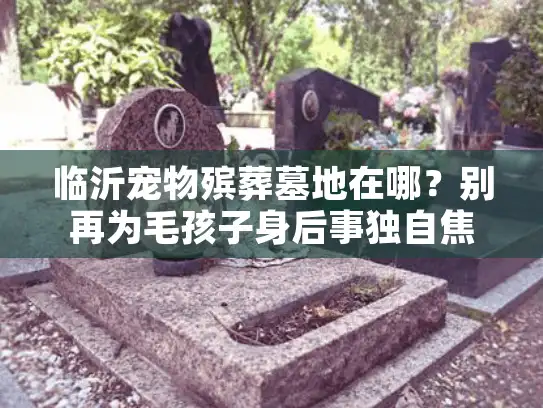 临沂宠物殡葬墓地在哪？别再为毛孩子身后事独自焦虑了