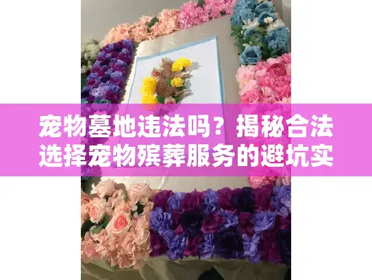 宠物墓地违法吗？揭秘合法选择宠物殡葬服务的避坑实战指南