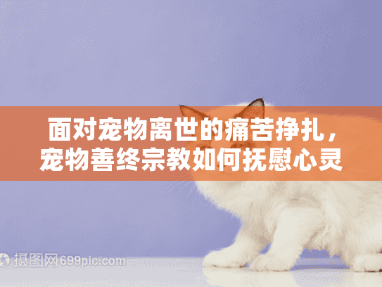 面对宠物离世的痛苦挣扎，宠物善终宗教如何抚慰心灵伤痕？