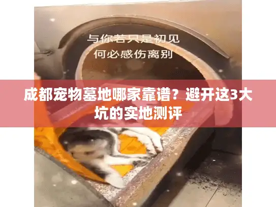 成都宠物墓地哪家靠谱？避开这3大坑的实地测评
