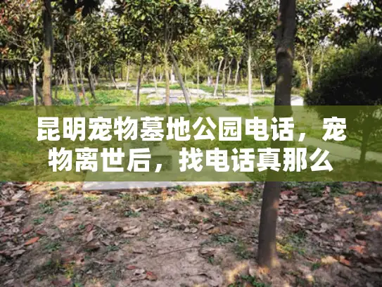 昆明宠物墓地公园电话，宠物离世后，找电话真那么难？一招教你轻松搞定！