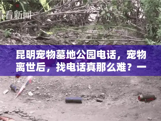 昆明宠物墓地公园电话，宠物离世后，找电话真那么难？一招教你轻松搞定！