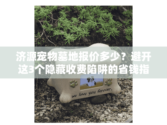 济源宠物墓地报价多少？避开这3个隐藏收费陷阱的省钱指南