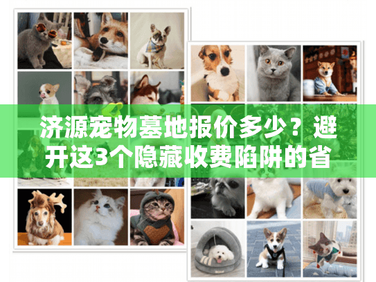 济源宠物墓地报价多少？避开这3个隐藏收费陷阱的省钱指南