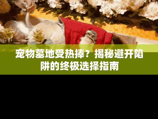 宠物墓地受热捧？揭秘避开陷阱的终极选择指南