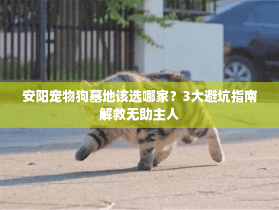 安阳宠物狗墓地该选哪家？3大避坑指南解救无助主人