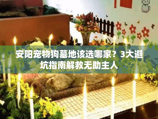 安阳宠物狗墓地该选哪家？3大避坑指南解救无助主人