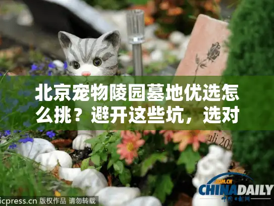 北京宠物陵园墓地优选怎么挑?避开这些坑,选对宠物安息地! 北京宠物陵园墓地优选怎么挑?避开这些坑,选对宠物安息地!