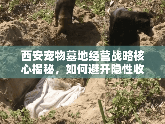 西安宠物墓地经营战略核心揭秘，如何避开隐性收费与服务质量陷阱？