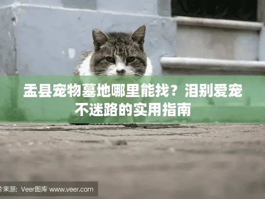 盂县宠物墓地哪里能找?泪别爱宠不迷路的实用指南 盂县宠物墓地哪里能找?泪别爱宠不迷路的实用指南