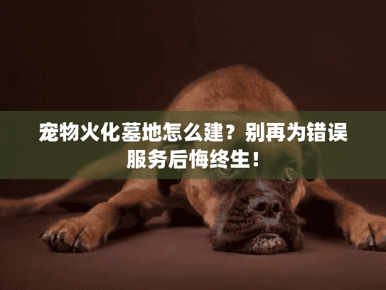 宠物火化墓地怎么建？别再为错误服务后悔终生！