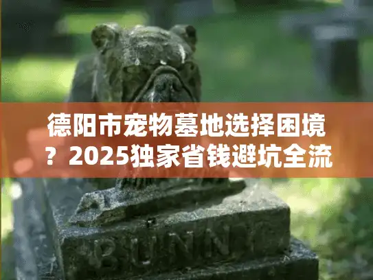 德阳市宠物墓地选择困境？2025独家省钱避坑全流程