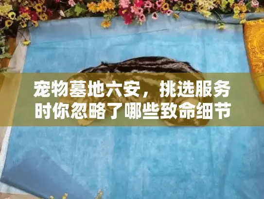 宠物墓地六安，挑选服务时你忽略了哪些致命细节？