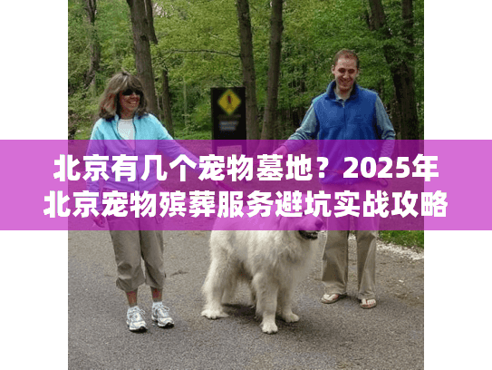 北京有几个宠物墓地？2025年北京宠物殡葬服务避坑实战攻略