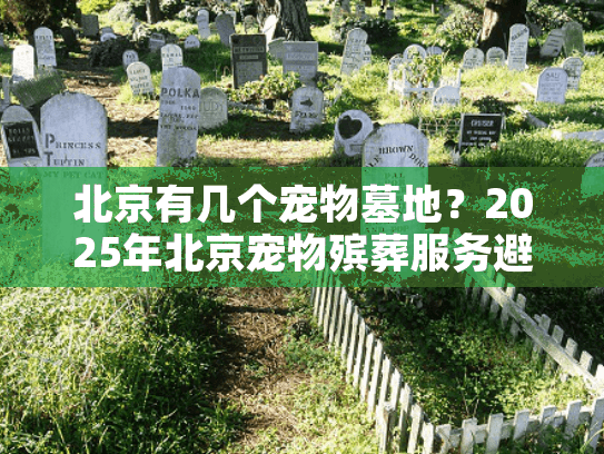 北京有几个宠物墓地？2025年北京宠物殡葬服务避坑实战攻略