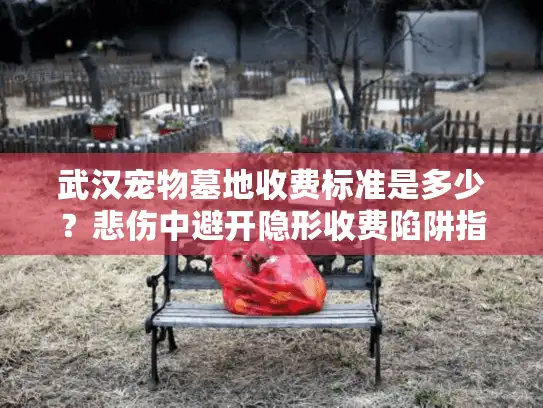 武汉宠物墓地收费标准是多少?悲伤中避开隐形收费陷阱指南 武汉宠物墓地收费标准是多少?悲伤中避开隐形收费陷阱指南