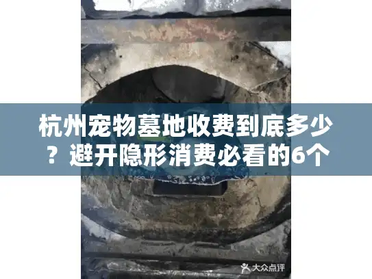 杭州宠物墓地收费到底多少?避开隐形消费必看的6个步骤 杭州宠物墓地收费到底多少?避开隐形消费必看的6个步骤