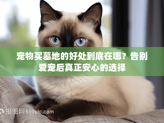 宠物买墓地的好处到底在哪？告别爱宠后真正安心的选择