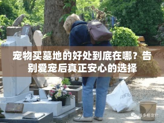 宠物买墓地的好处到底在哪？告别爱宠后真正安心的选择