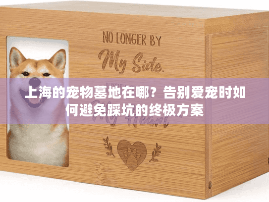 上海的宠物墓地在哪?告别爱宠时如何避免踩坑的终极方案 上海的宠物墓地在哪?告别爱宠时如何避免踩坑的终极方案