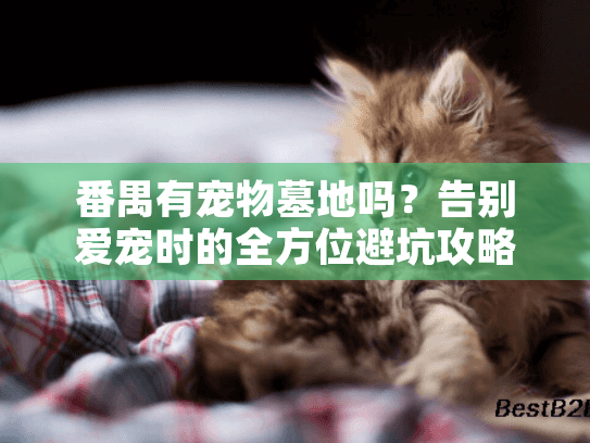 番禺有宠物墓地吗？告别爱宠时的全方位避坑攻略