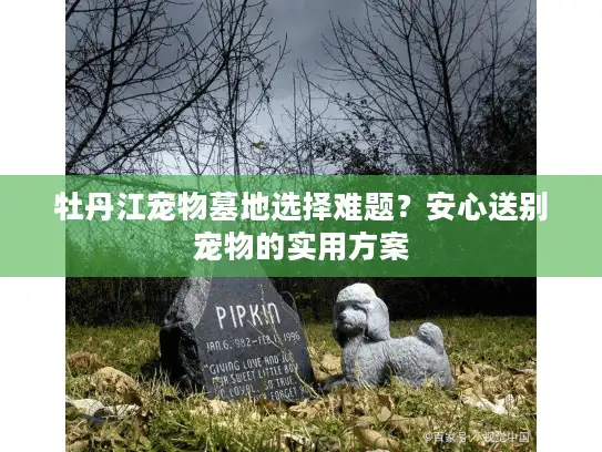 牡丹江宠物墓地选择难题？安心送别宠物的实用方案