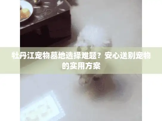 牡丹江宠物墓地选择难题？安心送别宠物的实用方案