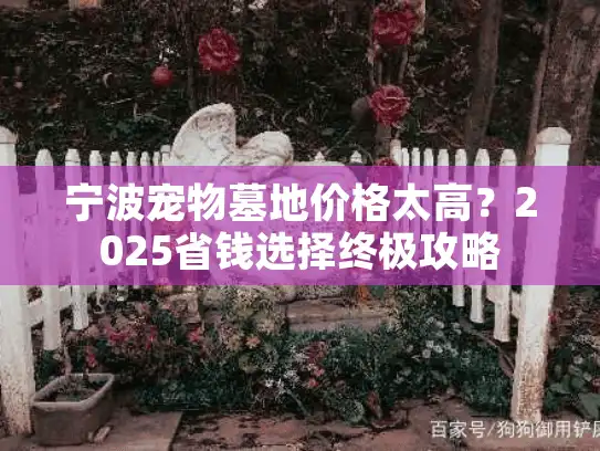 宁波宠物墓地价格太高?2025省钱选择终极攻略 宁波宠物墓地价格太高?2025省钱选择终极攻略