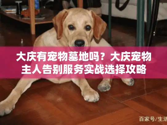 大庆有宠物墓地吗？大庆宠物主人告别服务实战选择攻略