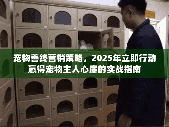 宠物善终营销策略，2025年立即行动赢得宠物主人心扉的实战指南