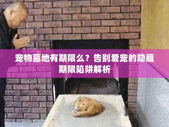 宠物墓地有期限么？告别爱宠的隐藏期限陷阱解析