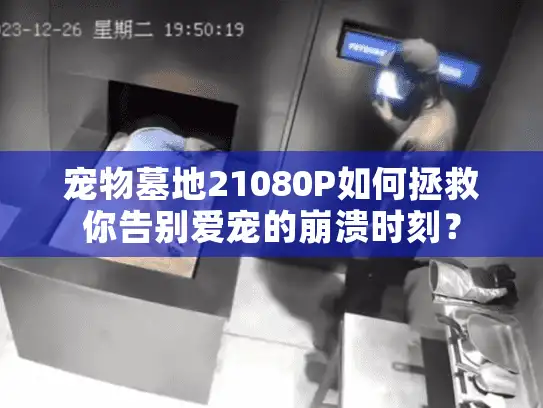 宠物墓地21080P如何拯救你告别爱宠的崩溃时刻？