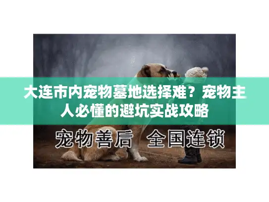 大连市内宠物墓地选择难？宠物主人必懂的避坑实战攻略