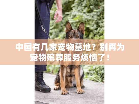 中国有几家宠物墓地?别再为宠物殡葬服务烦恼了! 中国有几家宠物墓地?别再为宠物殡葬服务烦恼了!