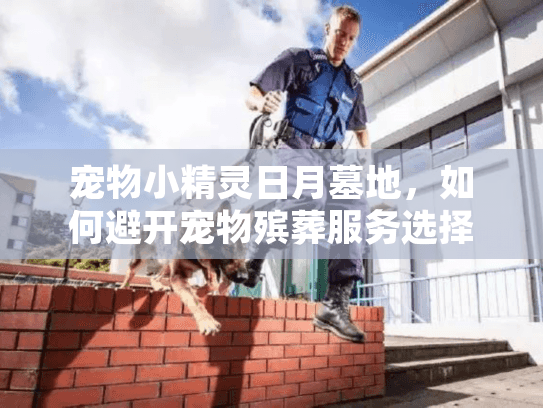 宠物小精灵日月墓地，如何避开宠物殡葬服务选择的常见陷阱？