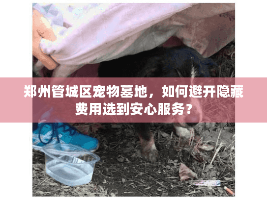 郑州管城区宠物墓地，如何避开隐藏费用选到安心服务？