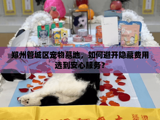 郑州管城区宠物墓地，如何避开隐藏费用选到安心服务？