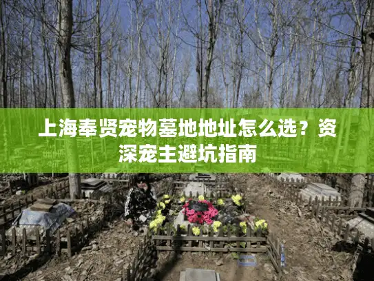 上海奉贤宠物墓地地址怎么选？资深宠主避坑指南
