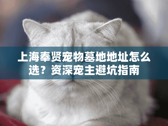 上海奉贤宠物墓地地址怎么选？资深宠主避坑指南