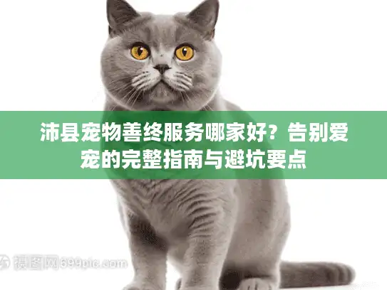 沛县宠物善终服务哪家好？告别爱宠的完整指南与避坑要点