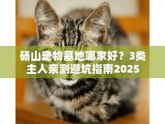 砀山宠物墓地哪家好?3类主人亲测避坑指南2025 砀山宠物墓地哪家好?3类主人亲测避坑指南2025