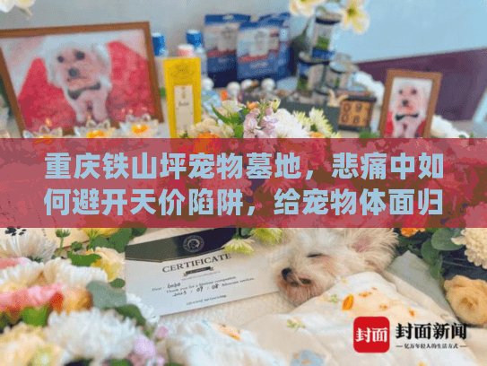 重庆铁山坪宠物墓地，悲痛中如何避开天价陷阱，给宠物体面归宿？